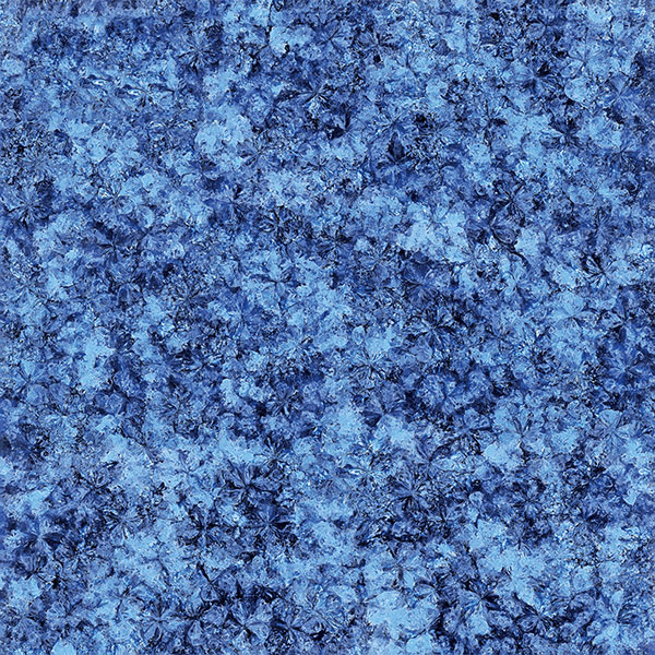 永利集团·yl(中国游)官方网站