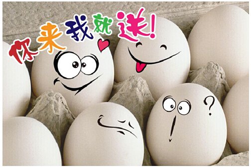 永利集团·yl(中国游)官方网站