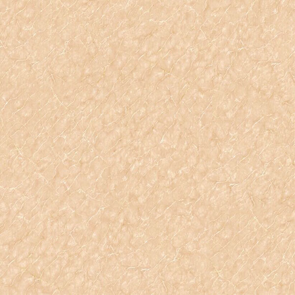 永利集团·yl(中国游)官方网站