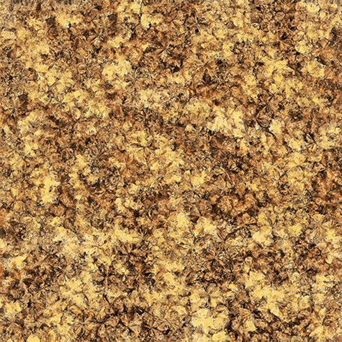 永利中国2.0厚微晶石：浅金啡KFB88012单片