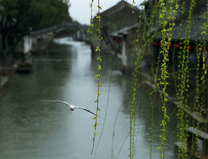 永利集团·yl(中国游)官方网站