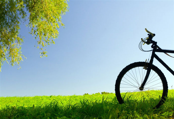 即即是春风十里，，，，，依然不如你