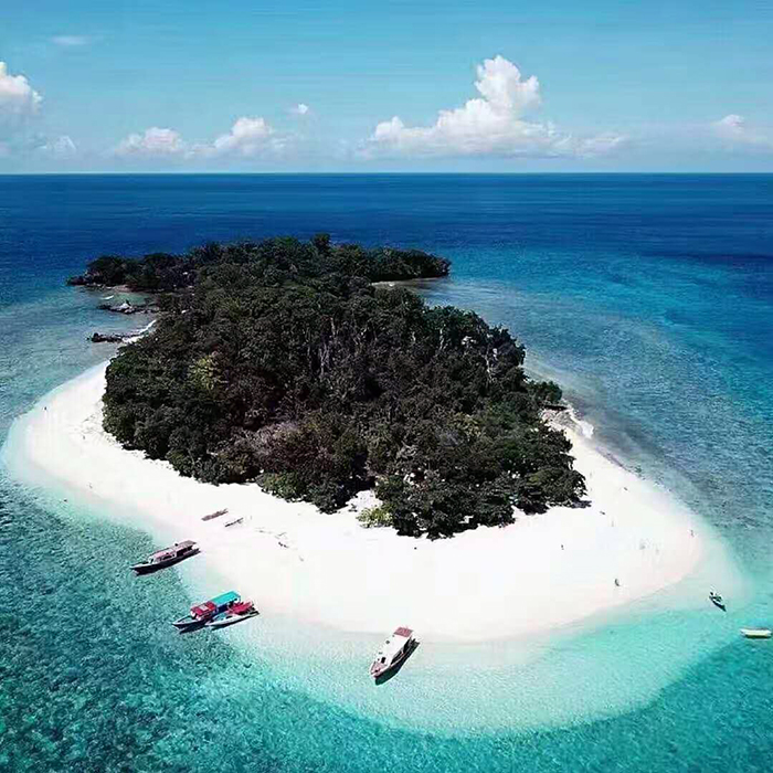 永利集团·yl(中国游)官方网站