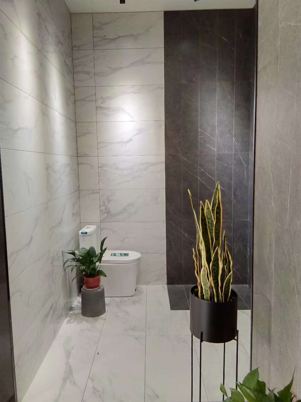 永利集团·yl(中国游)官方网站