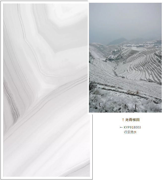 永利集团·yl(中国游)官方网站