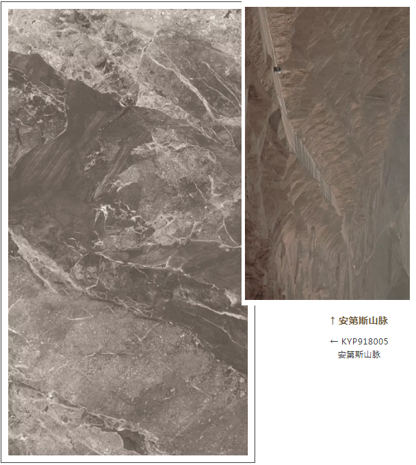 永利集团·yl(中国游)官方网站