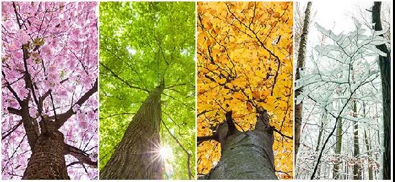 永利集团·yl(中国游)官方网站