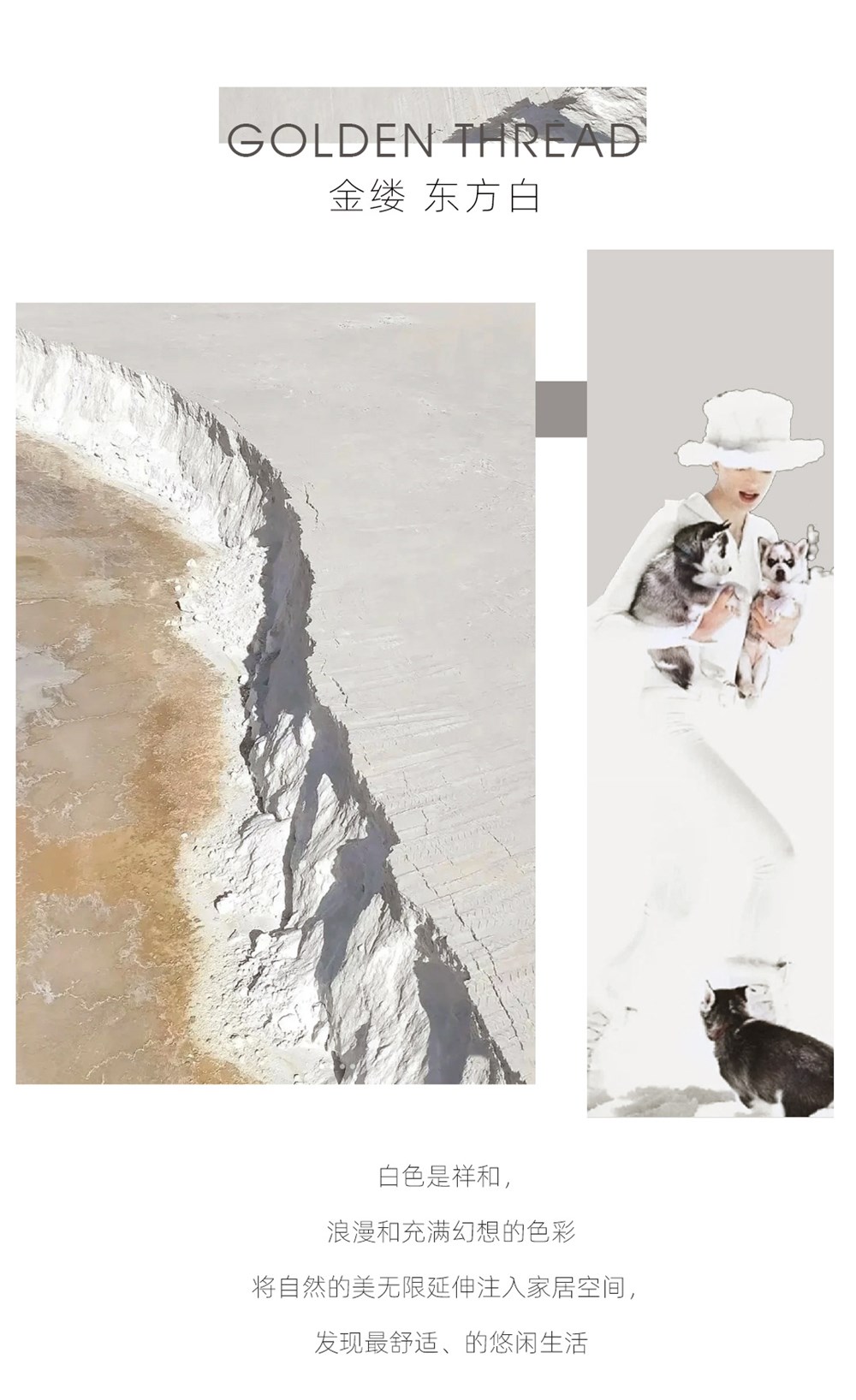 永利集团·yl(中国游)官方网站