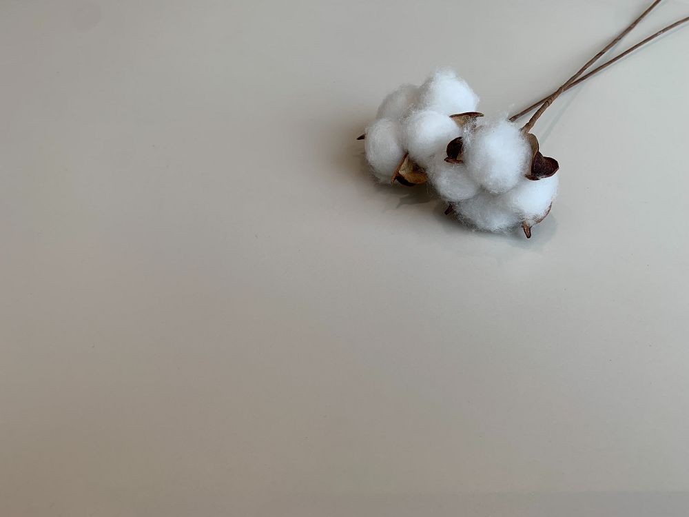 永利集团·yl(中国游)官方网站