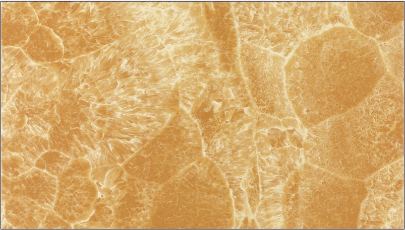 永利集团·yl(中国游)官方网站